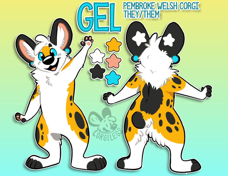 Gel Reference Gel Reference