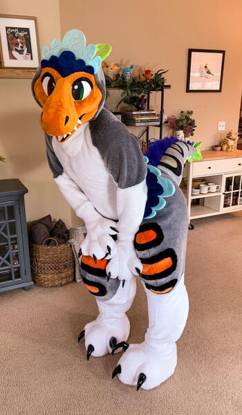 Pyrite Raptor 2019