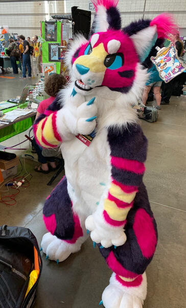 Artist Designed Cat 2019