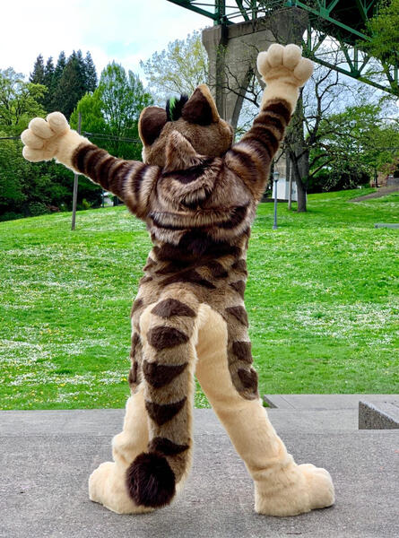 Tripp Cat 2019