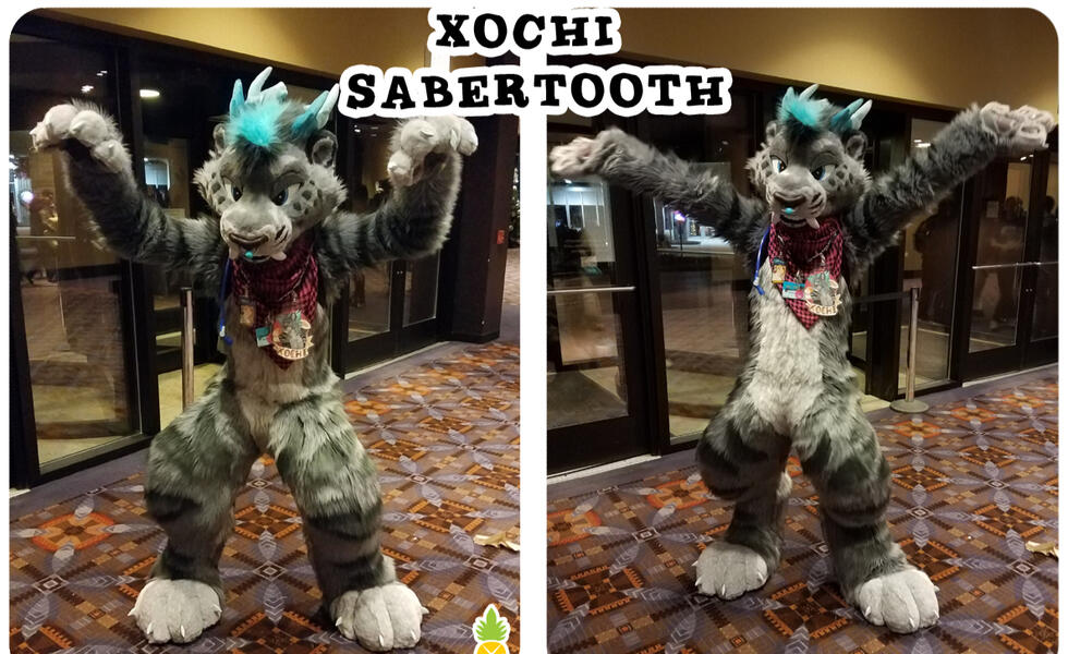 Xochi Tiger 2017
