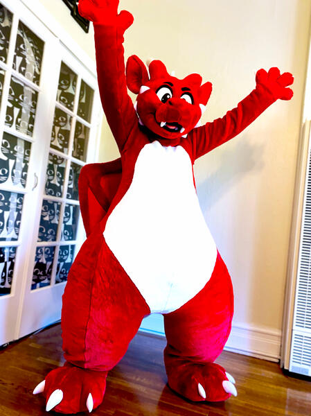 Drake Dragon 2021 Drake Dragon 2021