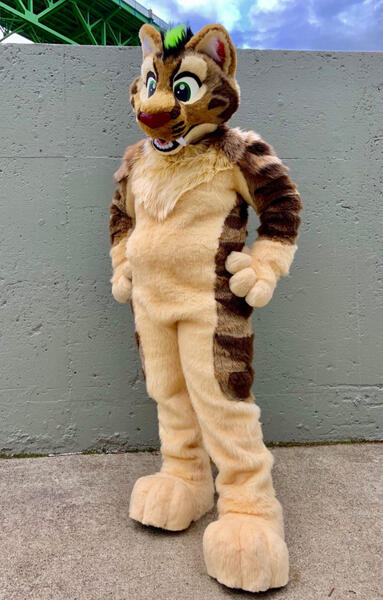 Tripp Cat 2019
