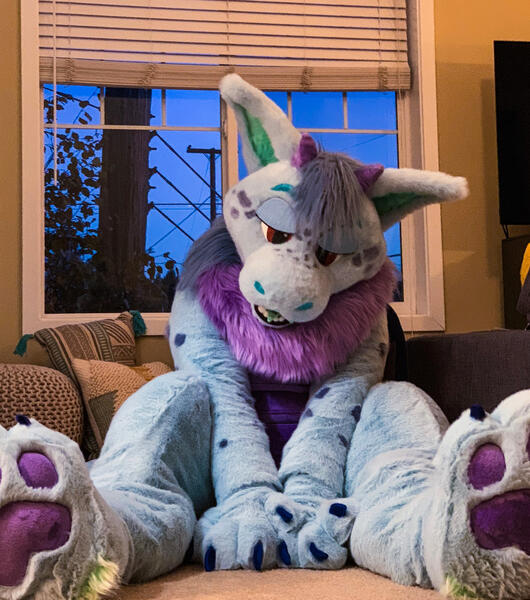 Rufus Dragon 2018