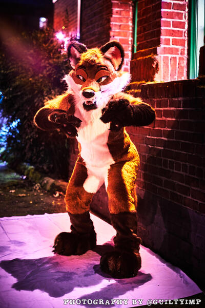 Telford Fox 2018