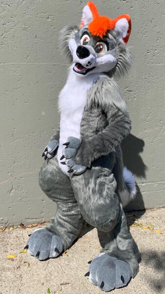 Generic Wolf 2019
