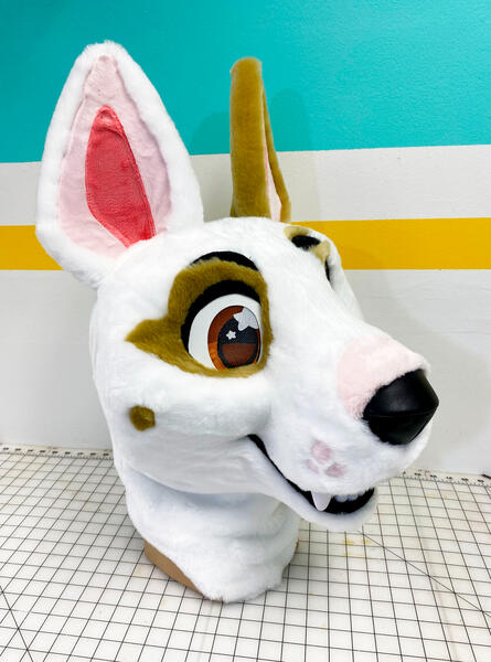 Charlie Bull Terrier 2021 Charlie Bull Terrier 2021