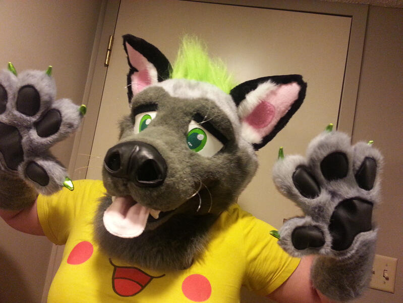 Artist Designed Hyena 2016 Artist Designed Hyena 2016