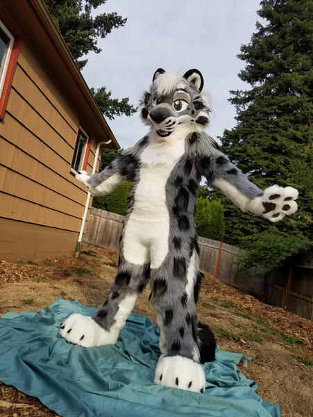 Selinar Snow Leopard 2017 Selinar Snow Leopard 2017