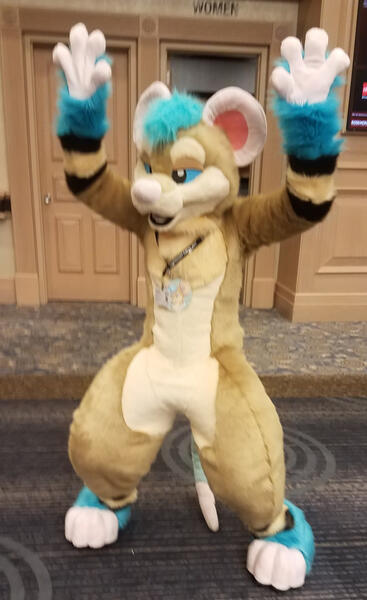 Spruce Mouse 2017