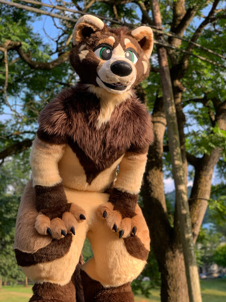 Keto Pine Marten 2019