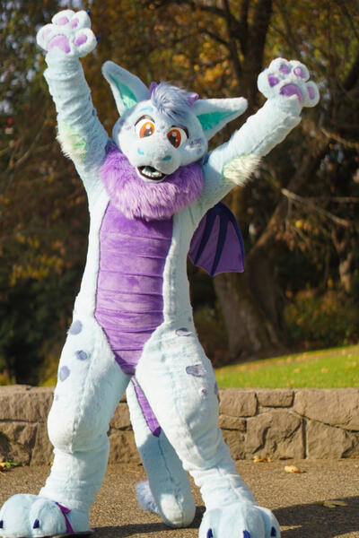 Rufus Dragon 2018