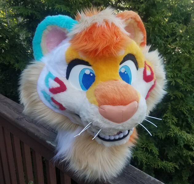 Serenity Tiger 2019